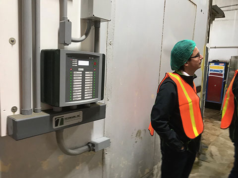 mushroom grow room humidifier