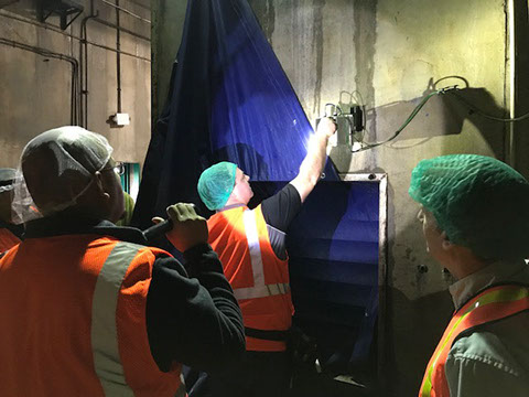 mushroom grow room humidifier